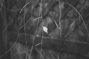 Symbol des Übergangs